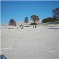 December 2010